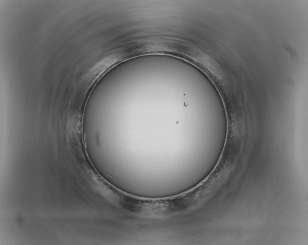 X0000113560793200910161455