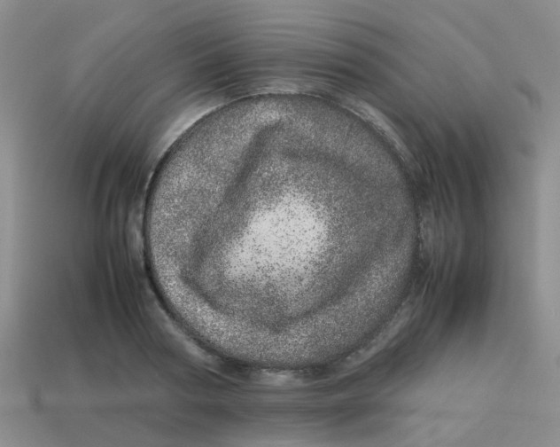 X0000113560794200910161455