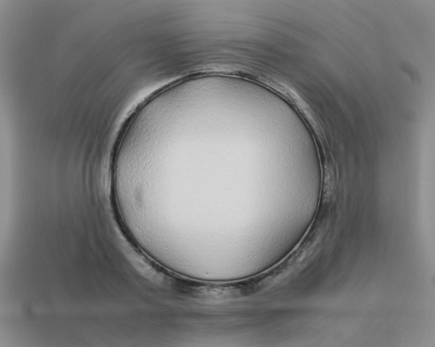 X0000113560795200910161455