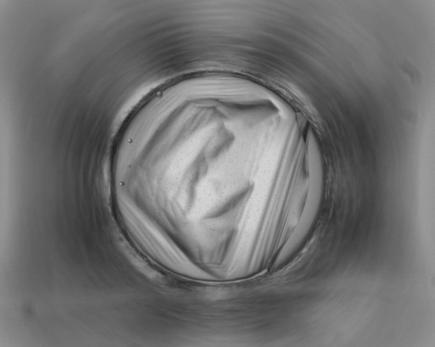 X0000113560796200910161455