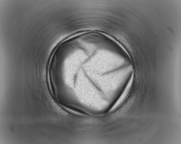 X0000113560797200910161455