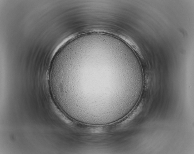 X0000113560798200910161455
