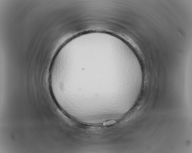 X0000113560799200910161455