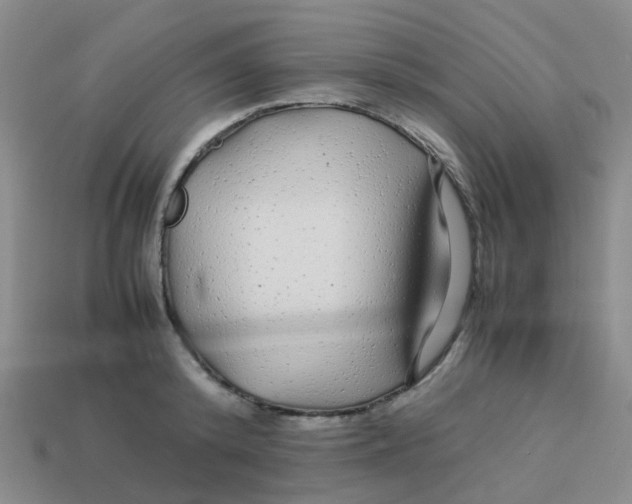 X0000113560800200910161455