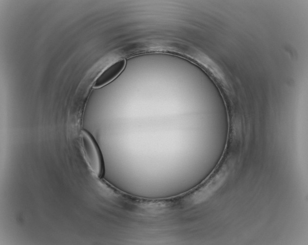 X0000113560801200910161455