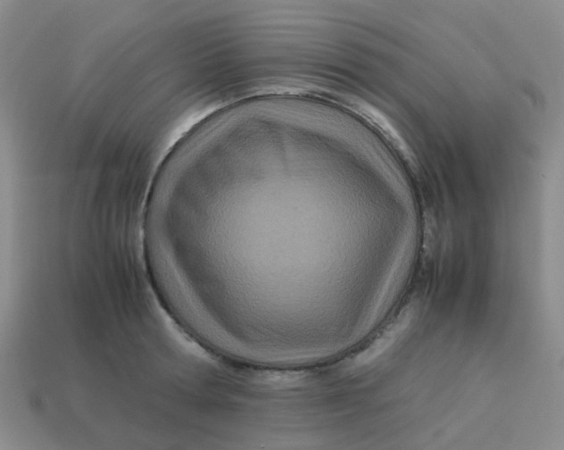 X0000113560802200910161455