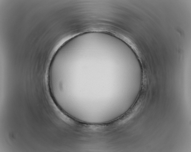 X0000113560803200910161455