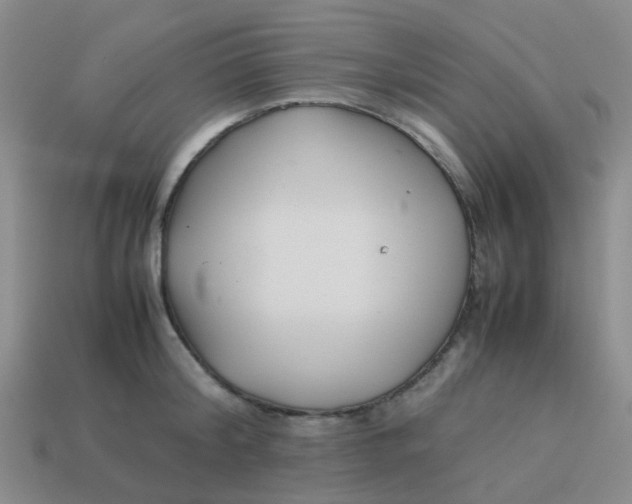 X0000113560804200910161455