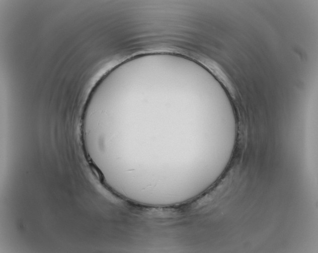 X0000113560805200910161455