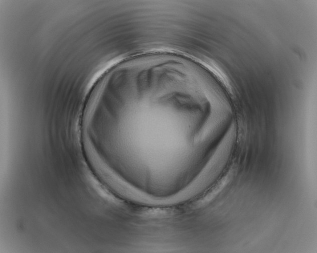 X0000113560806200910161455