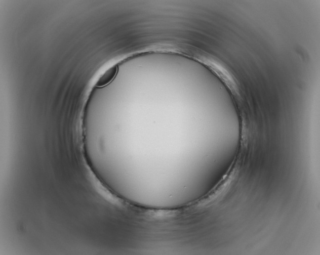X0000113560808200910161455