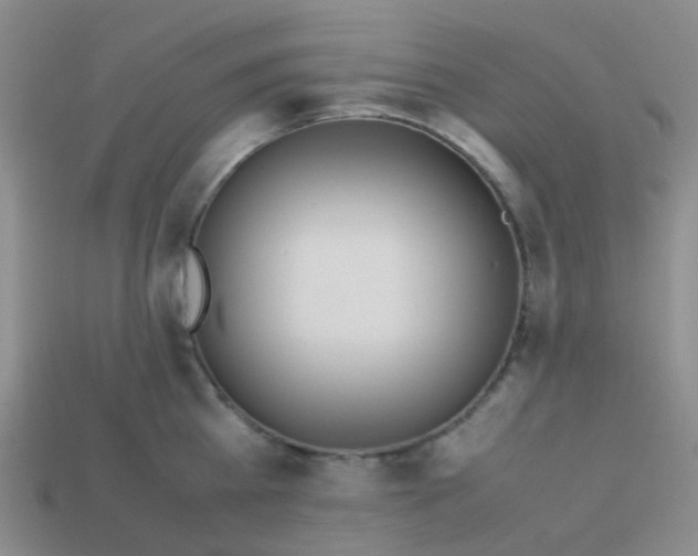 X0000113560809200910161455
