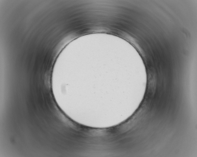 X0000113560810200910161455
