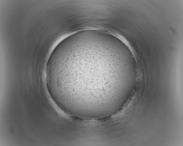 X0000113560811200910161455