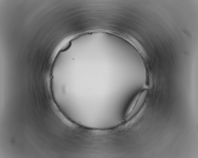 X0000113560812200910161455