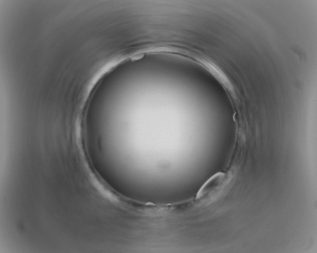 X0000113560813200910161455