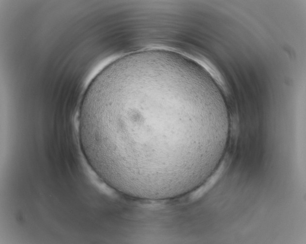 X0000113560814200910161455