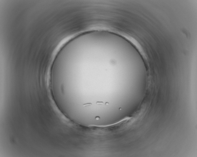 X0000113560815200910161455
