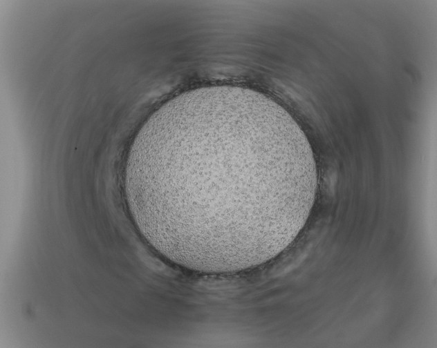 X0000113560817200910161454