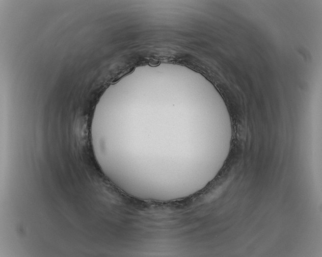 X0000113560818200910161454