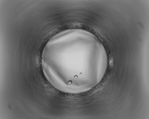 X0000113560819200910161454