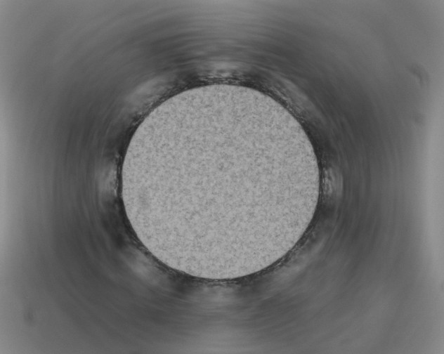 X0000113560820200910161454