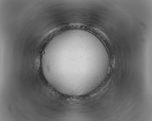 X0000113560821200910161454