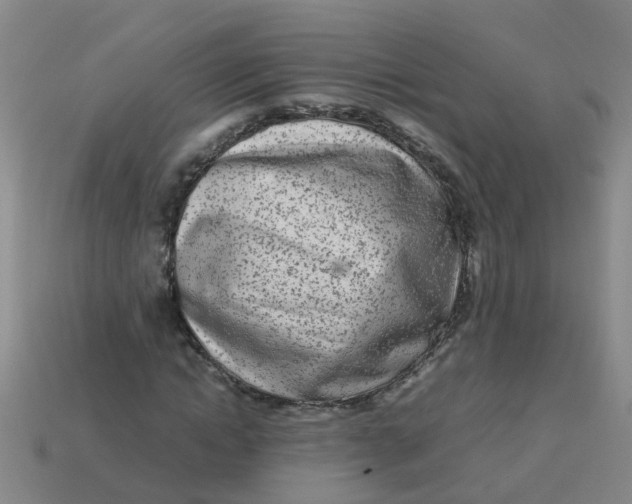X0000113560822200910161454