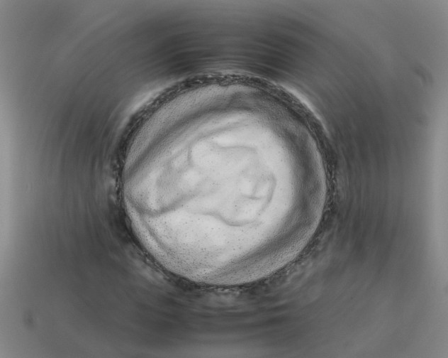 X0000113560823200910161454