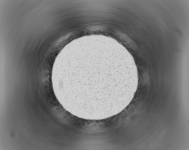 X0000113560824200910161454