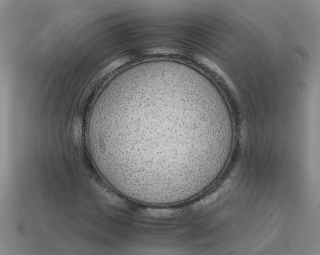 X0000113560825200910161454