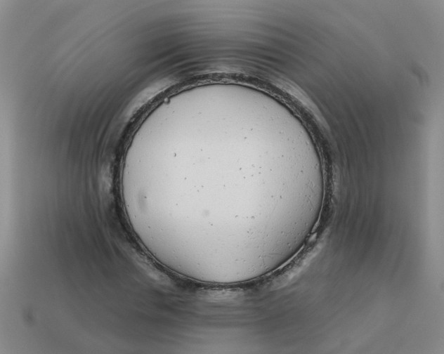 X0000113560826200910161454