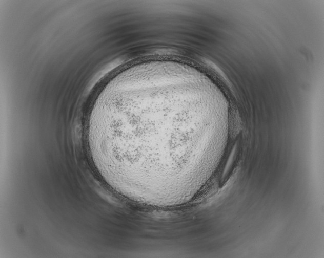 X0000113560827200910161454
