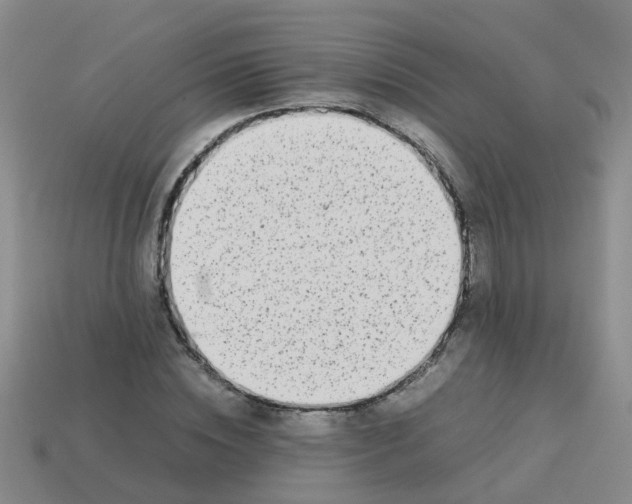 X0000113560828200910161454