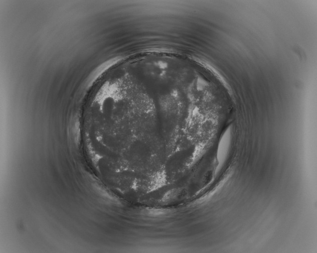 X0000113560829200910161454