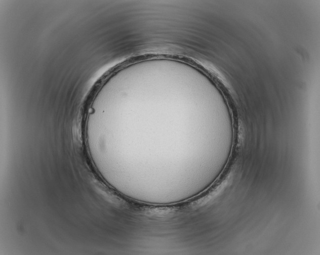 X0000113560830200910161454