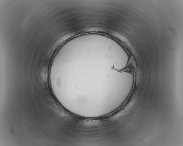 X0000113560833200910161454