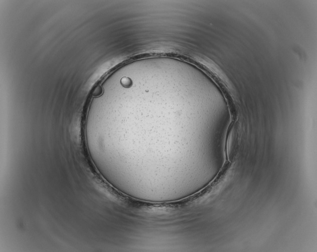 X0000113560834200910161454