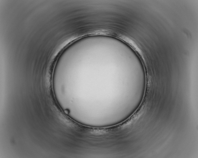 X0000113560835200910161454