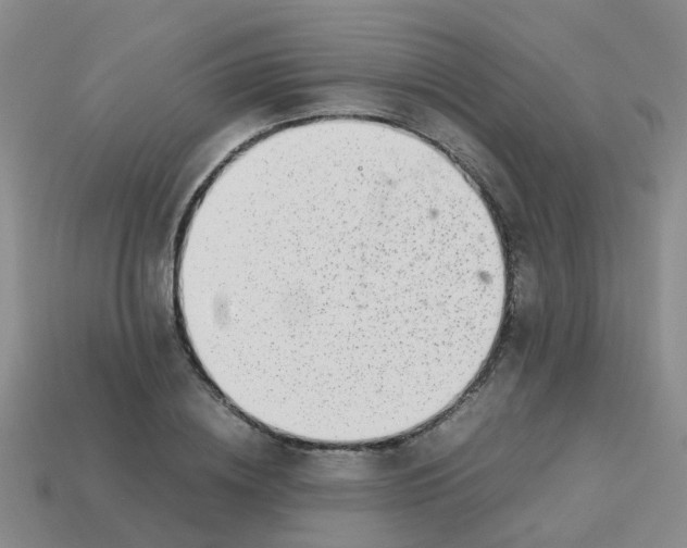 X0000113560836200910161454