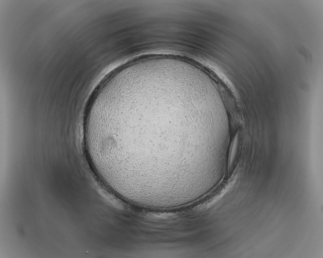 X0000113560837200910161454