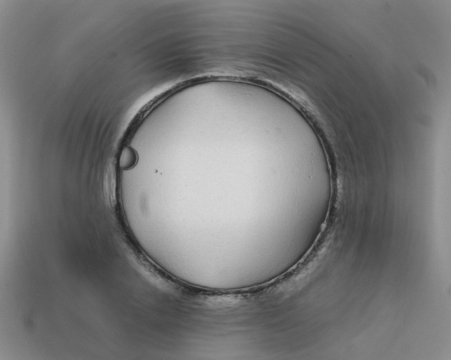 X0000113560838200910161454
