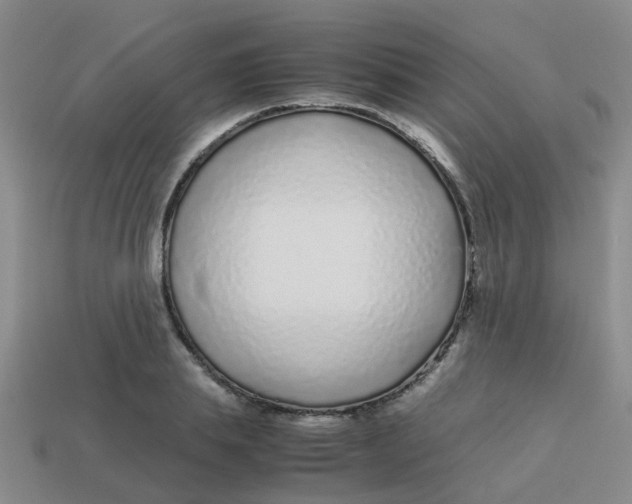 X0000113560839200910161454