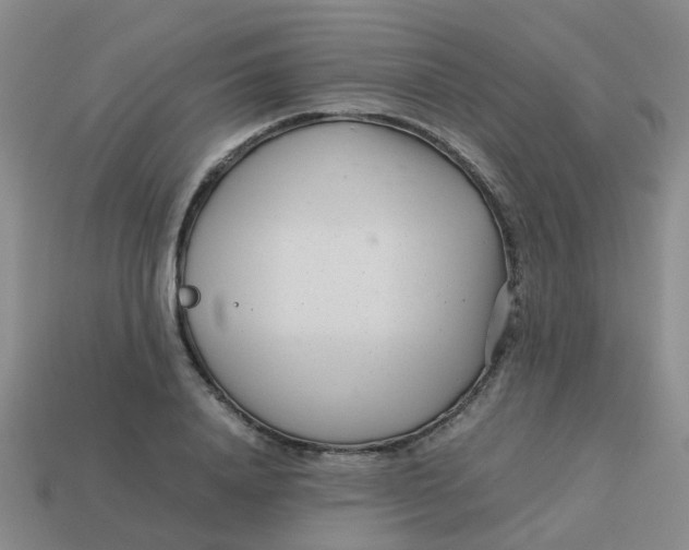 X0000113560840200910161454