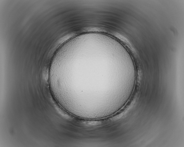 X0000113560841200910161454