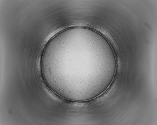 X0000113560842200910161455