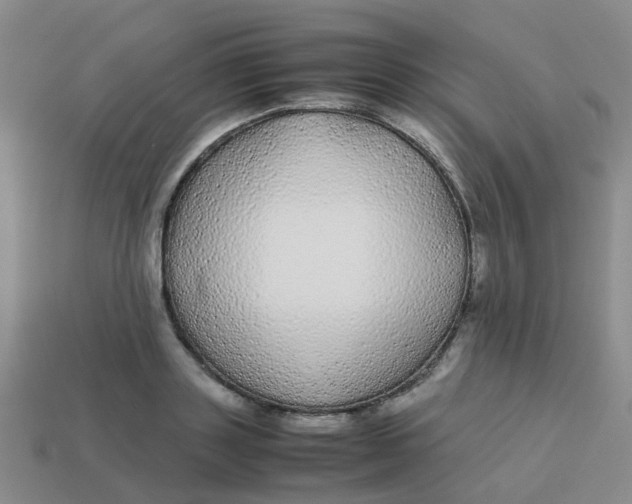 X0000113560843200910161455