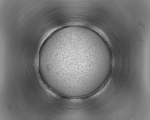 X0000113560844200910161455