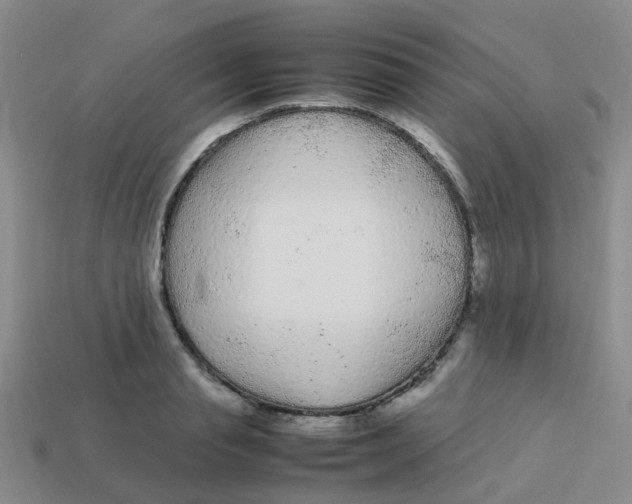 X0000113560845200910161455