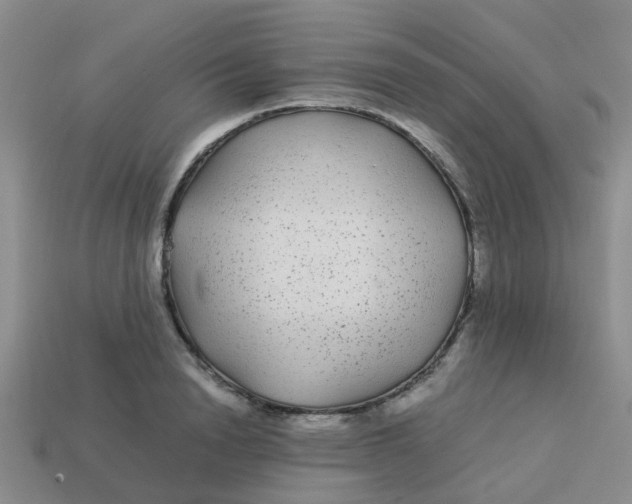 X0000113560846200910161455